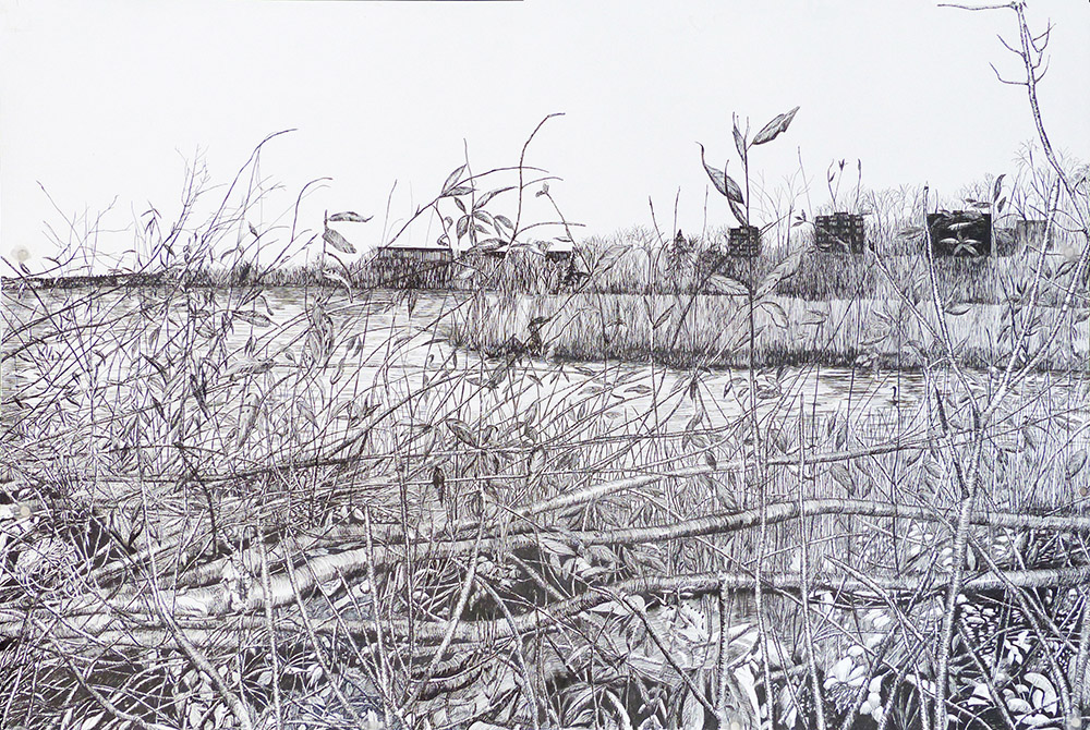 Pen and ink drawing of the mouth of Graham Creek by Gwen Frankton